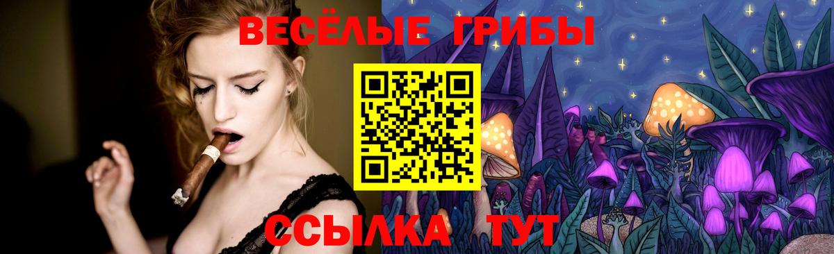 Каменск-Шахтинский  цена   Вход с VPN  Псилоцибиновые грибы ЛСД 